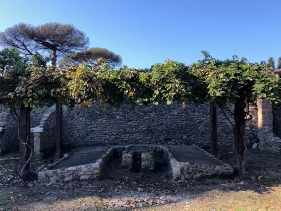 Scavi archeologici di Pompei, terminato il restauro: apre l’antica conceria. "È il più grande impianto artigianale per la lavorazione delle pelli"