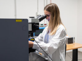 Inquinamento da plastica: alcuni laghi soffrono più degli oceani