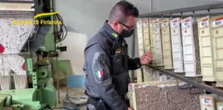 Napoli, producevano due tonnellate di sigarette di contrabbando al giorno: 7 arresti. “Lo stabilimento nel Milanese” Napoli, producevano due tonnellate di sigarette di contrabbando al giorno: 7 arresti. "Lo stabilimento nel Milanese"