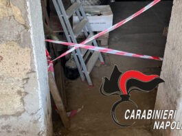 Barano e Procida, abusivismi edilizi e tutela delle aree protette: blitz dei carabinieri