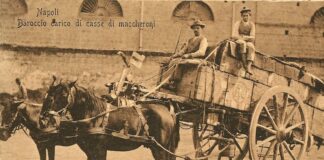 Cavalli e Carrozze a Gragnano una cultura equestre ancora viva (INTERVISTA)