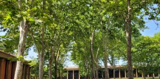 Pompei, visite al fresco ai siti del Parco Archeologico: gli itinerari consigliati contro il caldo