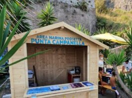 Punta Campanella in spiaggia: educazione ambientale e giochi interattivi a Marina di Puolo