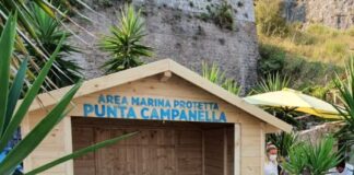 Punta Campanella in spiaggia: educazione ambientale e giochi interattivi a Marina di Puolo