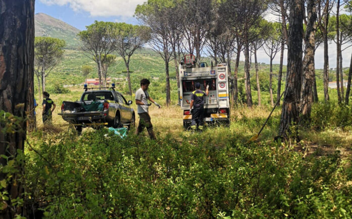 Torre del Greco, vasto incendio sul Vesuvio: domate le fiamme, intervenute tre squadre di vigili del fuoco