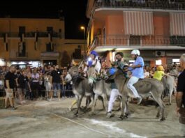 Santa Maria la Carità, grande attesa per il Palio del Ciuccio: l'appuntamento è per domenica 9 luglio