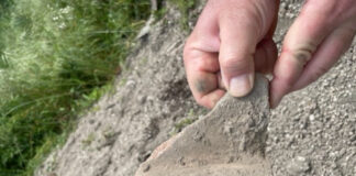 Blitz a Pompei, una discarica di 28mila mq in area archeologica vincolata: scatta il sequestro. “Indagate tre persone” Blitz a Pompei, una discarica di 28mila mq in area archeologica vincolata: scatta il sequestro. "Indagate tre persone"