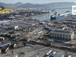 Pellet fuorilegge nel porto di Salerno, sequestrate 135 tonnellate di materiale: il blitz della guardia di finanza