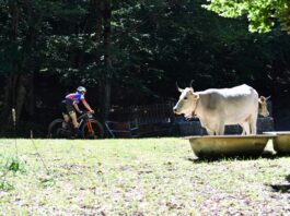 A Ottati la XC dei Tre Rifugi si arrende al brutto tempo, appuntamento slittato al 17 settembre