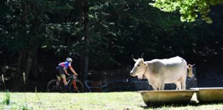 A Ottati la XC dei Tre Rifugi si arrende al brutto tempo, appuntamento slittato al 17 settembre