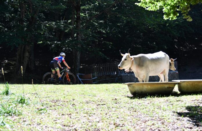 A Ottati la XC dei Tre Rifugi si arrende al brutto tempo, appuntamento slittato al 17 settembre A Ottati la XC dei Tre Rifugi si arrende al brutto tempo, appuntamento slittato al 17 settembre
