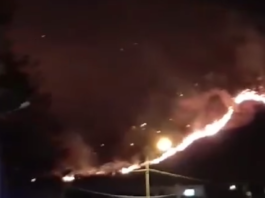 Ischia, l'incendio sul versante del Monte Epomeo domato in mattinata: in pericolo le abitazioni circostanti