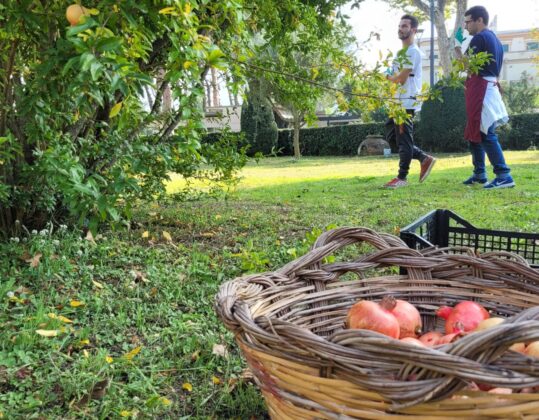 Pompei, al via i bandi di gara per "Azienda agricola" e "Orti didattici Horti Plinii": "Il Parco continuer&agrave; su questa strada coraggiosa e innovativa"