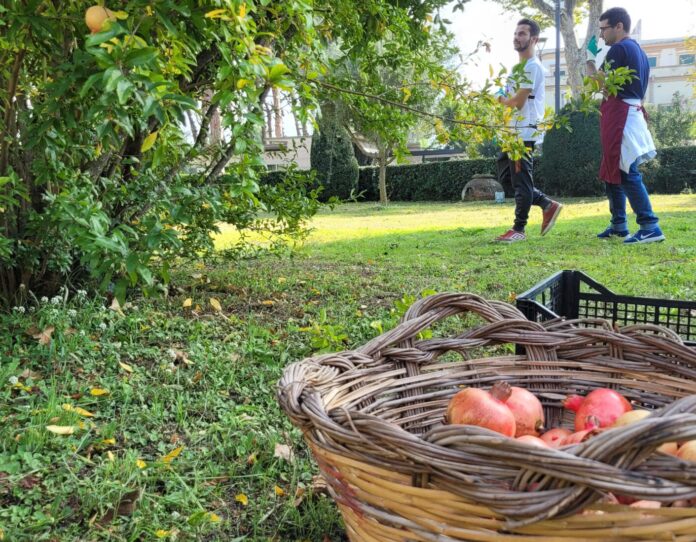 Pompei, al via i bandi di gara per "Azienda agricola" e "Orti didattici Horti Plinii": "Il Parco continuerà su questa strada coraggiosa e innovativa"