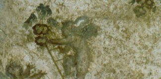 “Pompei, dell’antichità della vitae e del vino”: due giorni di eventi nella città antica. Cosa si offriva in un locale pompeiano? “Pompei, dell’antichità della vitae e del vino”: due giorni di eventi nella città antica. Cosa si offriva in un locale pompeiano?