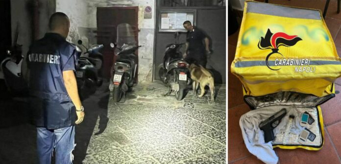 sanità armi e droga