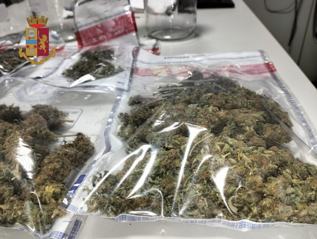 Sorrento, marijuana in barattoli in casa: arrestato 74enne di Scafati. Controllata la sua abitazione in via Belvedere Sorrento, marijuana in barattoli in casa: arrestato 74enne di Scafati. Controllata la sua abitazione in via Belvedere