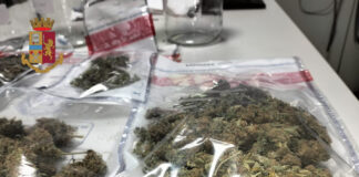 Sorrento, marijuana in barattoli in casa: arrestato 74enne di Scafati. Controllata la sua abitazione in via Belvedere