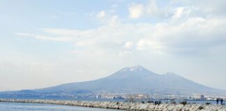 In the green future, il Concorso per promuovere innovazione, sostenibilità ambientale, trasferimento tecnologico ed energetico