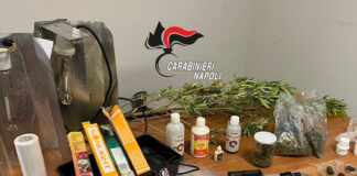 Mugnano di Napoli: Carabinieri scoprono laboratorio per la marijuana nel retrobottega. Imprenditore in manette, denunciato il socio