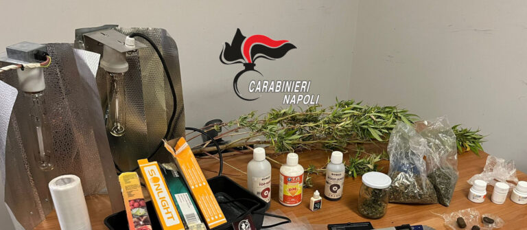 Mugnano di Napoli: Carabinieri scoprono laboratorio per la marijuana nel retrobottega. Imprenditore in manette, denunciato il socio