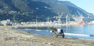 Di corsa con il calesse e il cavallo sull’arenile di Castellammare di Stabia: individuati e sanzionati Di corsa con il calesse e il cavallo sull’arenile di Castellammare di Stabia: individuati e sanzionati