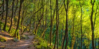 A Ischia il Festival della Natura del Club Alpino Italiano: in campo le risposte al climate change
