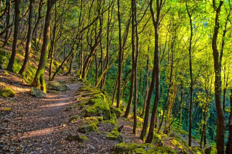 A Ischia il Festival della Natura del Club Alpino Italiano: in campo le risposte al climate change