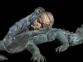 Modifica temporanea della circolazione in via Visitazione