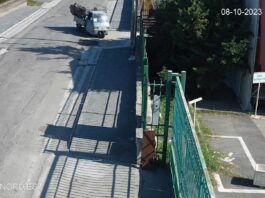 Boscoreale, abbandono di rifiuti in strada, segnalati due casi ai carabinieri