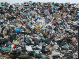 Ottaviano, questione rifiuti. Il sindaco: "Gara ponte per garantire il servizio, ma nessuna ingerenza"