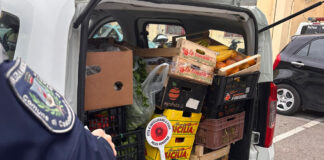 Castellammare, vendeva abusivamente frutta e verdura su suolo pubblico: denunciato 52enne, multa da 5mila euro Castellammare, vendeva abusivamente frutta e verdura su suolo pubblico: denunciato 52enne, multa da 5mila euro