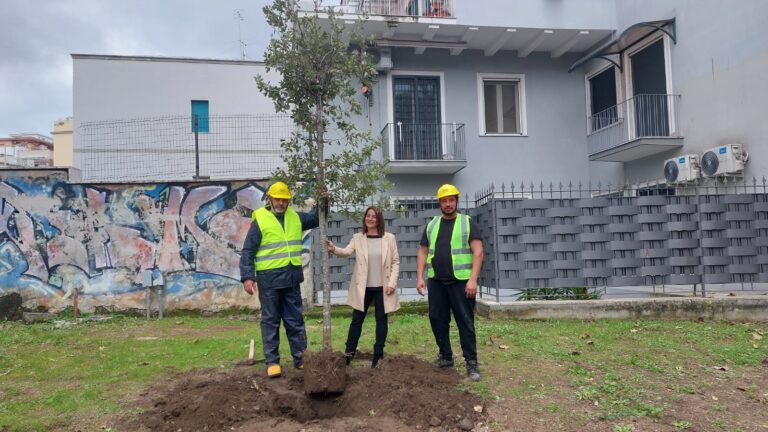 Torre del Greco: piantato un leccio nella zona della stazione della Circum