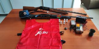 Giugliano: fermati e denunciati due bracconieri, sequestrati fucili e richiami vietati