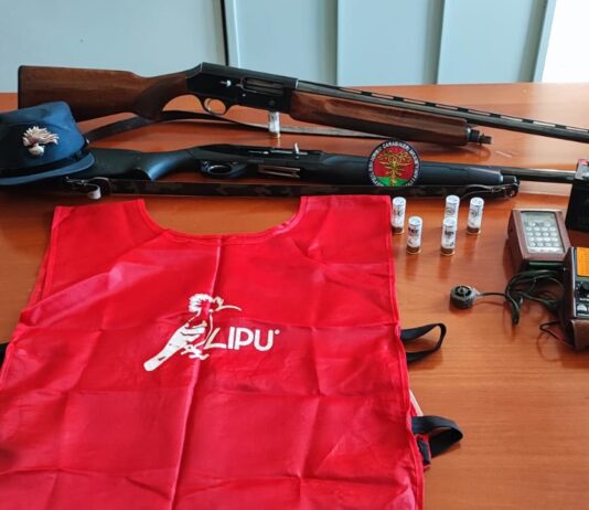 Giugliano: fermati e denunciati due bracconieri, sequestrati fucili e richiami vietati