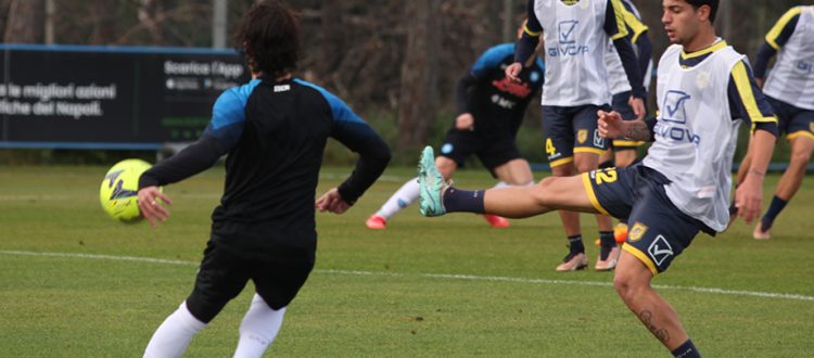 Juve Stabia, domenica derby con Sorrento. Giovedì allenamento congiunto con il Napoli di Mazzarri
