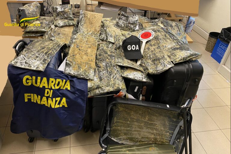 Corrieri “ovulatori” e valigie con doppi fondi, blitz antidroga a Bologna: quattro persone indagate. L’indagine dell’Antimafia di Napoli Corrieri “ovulatori” e valigie con doppi fondi, blitz antidroga a Bologna: quattro persone indagate. L’indagine dell’Antimafia di Napoli