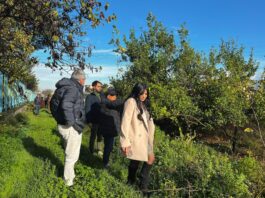 Nuova scuola superiore a Sant'Antonio Abate, ok ai corsi in Turismo, Ambiente e Agraria: "Grande opportunità, l'istituto sarà in via Cesano"