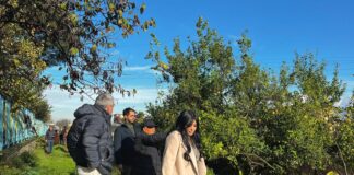 Nuova scuola superiore a Sant'Antonio Abate, ok ai corsi in Turismo, Ambiente e Agraria: "Grande opportunità, l'istituto sarà in via Cesano"