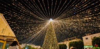 Boscoreale, Di Lauro: “Illuminiamo il Natale. Un mese di eventi per tutta la famiglia”