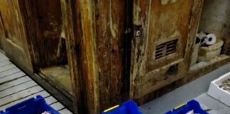 Torre del Greco: contenitori riutilizzabili per il pescato locale e la difesa dell’ambiente