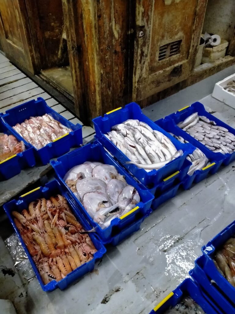 Torre del Greco: contenitori riutilizzabili per il pescato locale e la difesa dell’ambiente Torre del Greco: contenitori riutilizzabili per il pescato locale e la difesa dell’ambiente