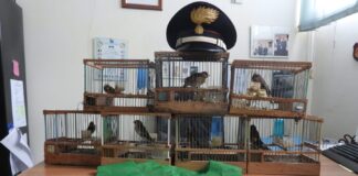 Operazione Antibracconaggio: controllata l’abitazione di un noto bracconiere di Acerra