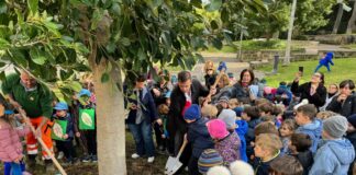 Sorrento, festa degli Alberi nei giardini di piazza Angelina Lauro