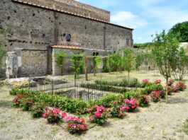 A Pompei un corso di formazione per "Giardinieri d’arte": iscrizioni entro il 27 dicembre 2023. 150 ore di lezioni teoriche