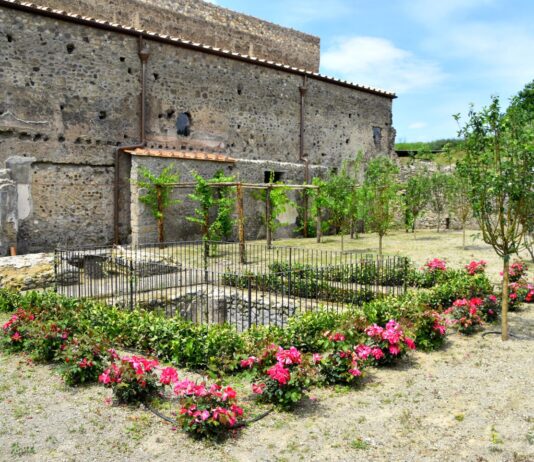 A Pompei un corso di formazione per "Giardinieri d’arte": iscrizioni entro il 27 dicembre 2023. 150 ore di lezioni teoriche
