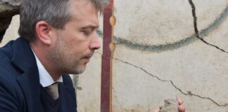 Pompei, 13 statuine in terracotta affiorano dal lapillo nel corso dello scavo di una domus a nord della Casa di Leda e il cigno