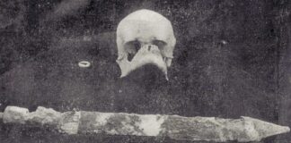 Pompei, il mistero del cranio di Plinio il Vecchio e la nuova indagine di Carlo Avvisati: una prospettiva approfondita e critica sulla misteriosa identità del teschio