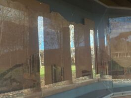 Apre la mostra “L’altra Pompei. Vite comuni all’ombra del Vesuvio” presso la Palestra Grande del Parco Archeologico