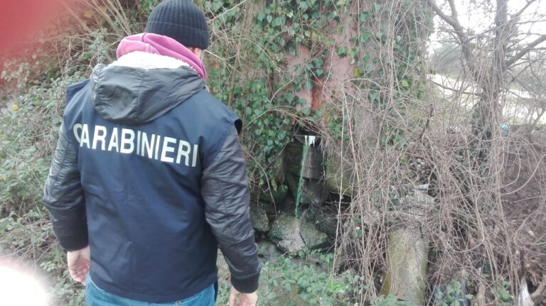 Operazione “Rinascita Sarno”: nuova campagna di controlli dei Carabinieri Forestali Operazione “Rinascita Sarno”: nuova campagna di controlli dei Carabinieri Forestali